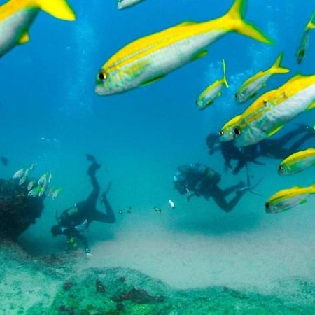 Devocean Eco Adventure Lodge Ponta do Ouro Ngoại thất bức ảnh