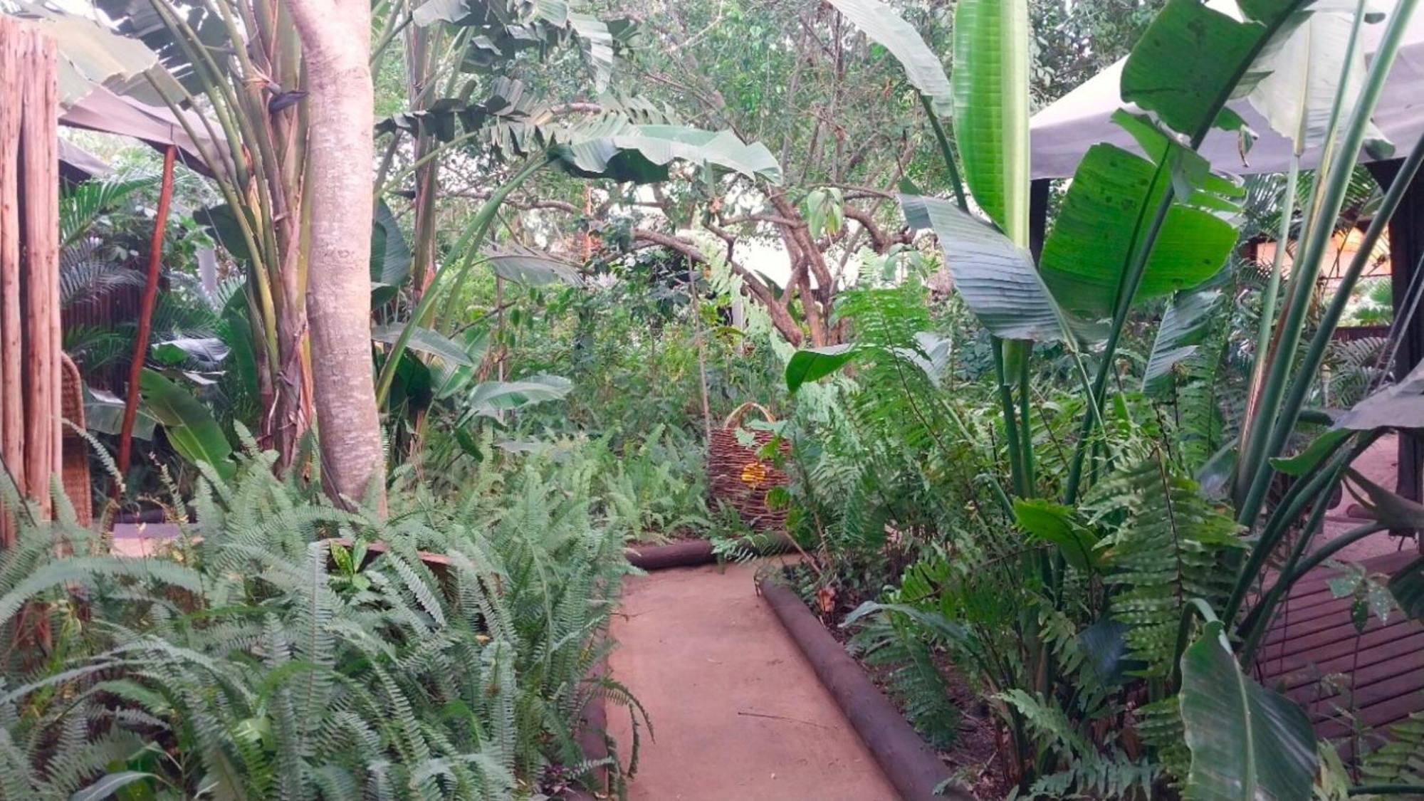 Devocean Eco Adventure Lodge Ponta do Ouro Ngoại thất bức ảnh