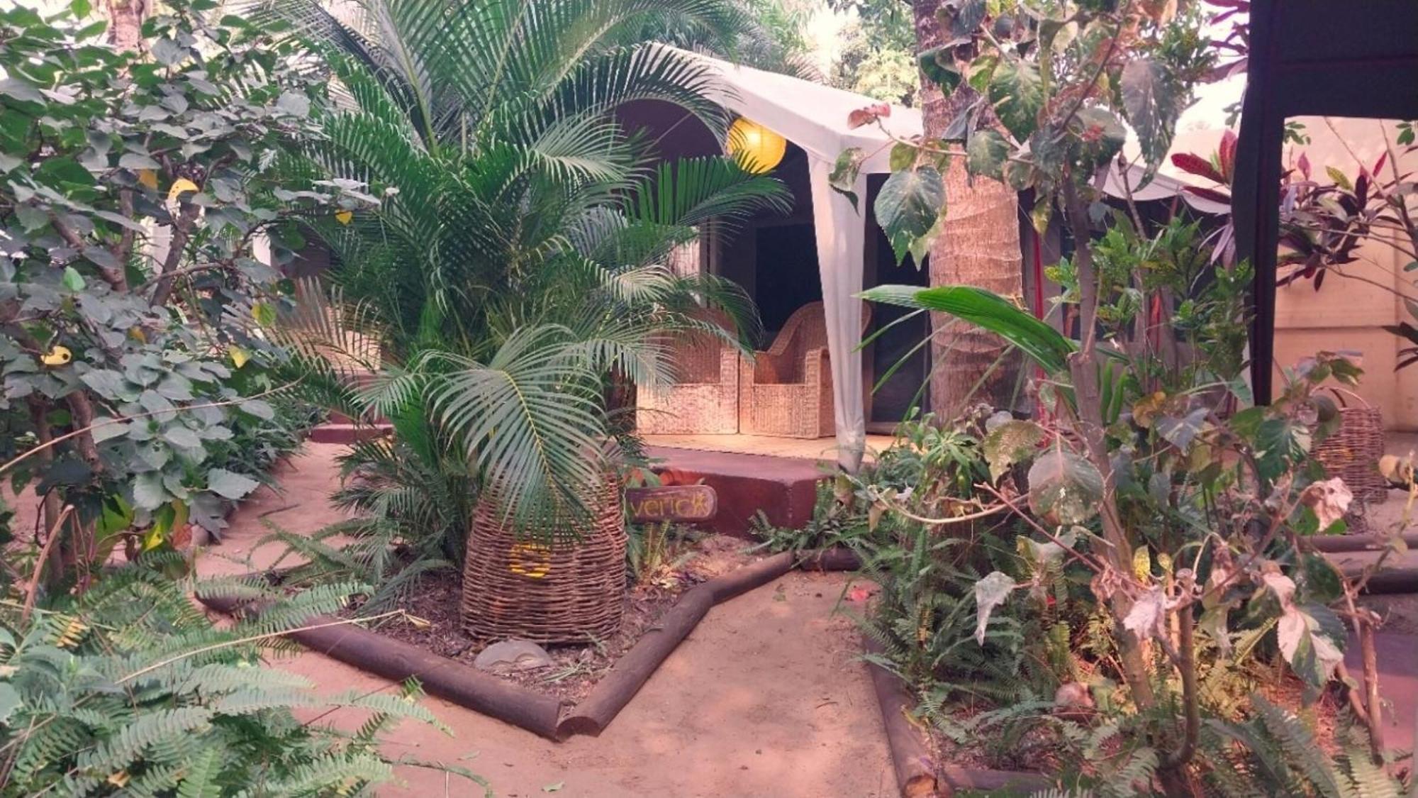 Devocean Eco Adventure Lodge Ponta do Ouro Ngoại thất bức ảnh