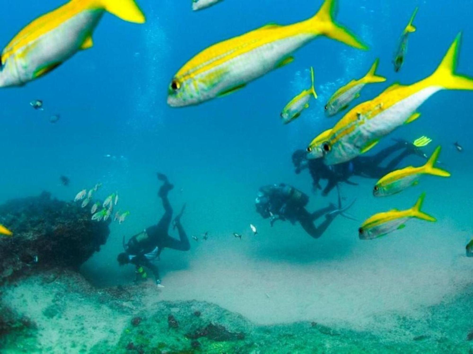 Devocean Eco Adventure Lodge Ponta do Ouro Ngoại thất bức ảnh