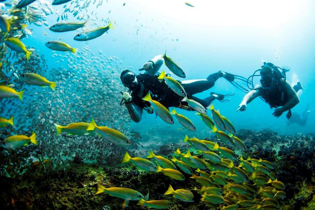 Devocean Eco Adventure Lodge Ponta do Ouro Ngoại thất bức ảnh