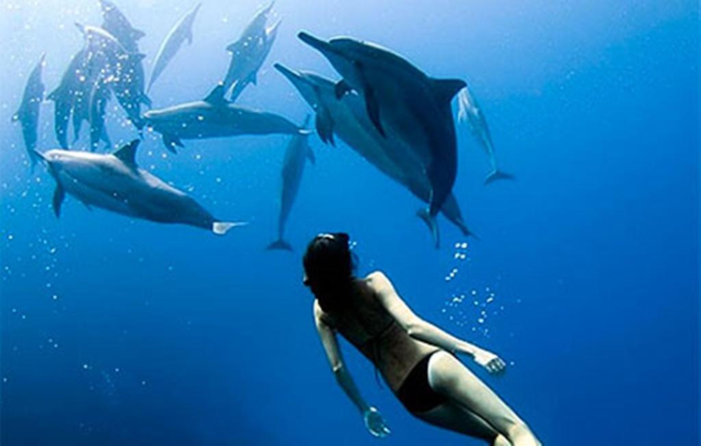 Devocean Eco Adventure Lodge Ponta do Ouro Ngoại thất bức ảnh