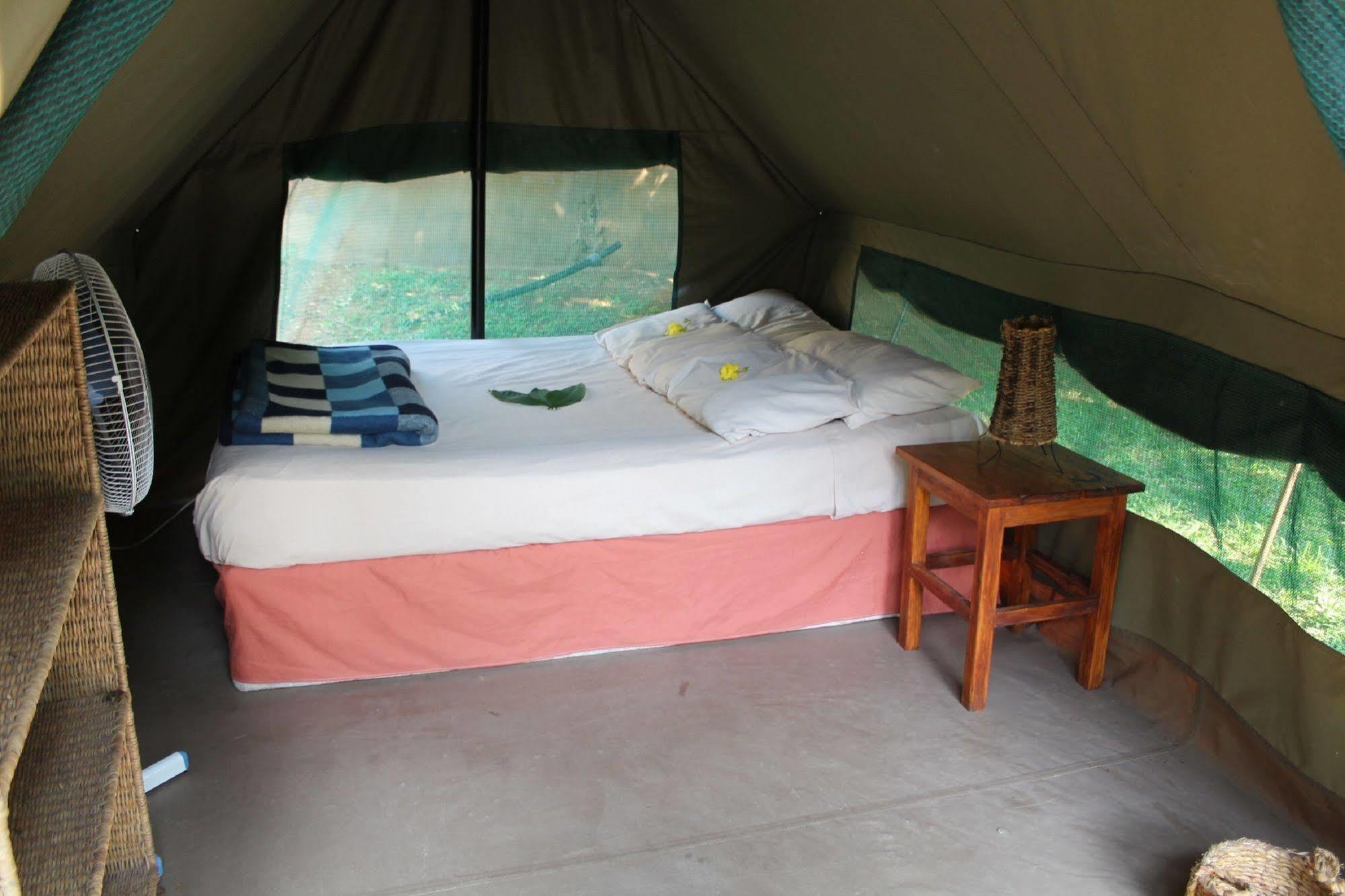 Devocean Eco Adventure Lodge Ponta do Ouro Ngoại thất bức ảnh
